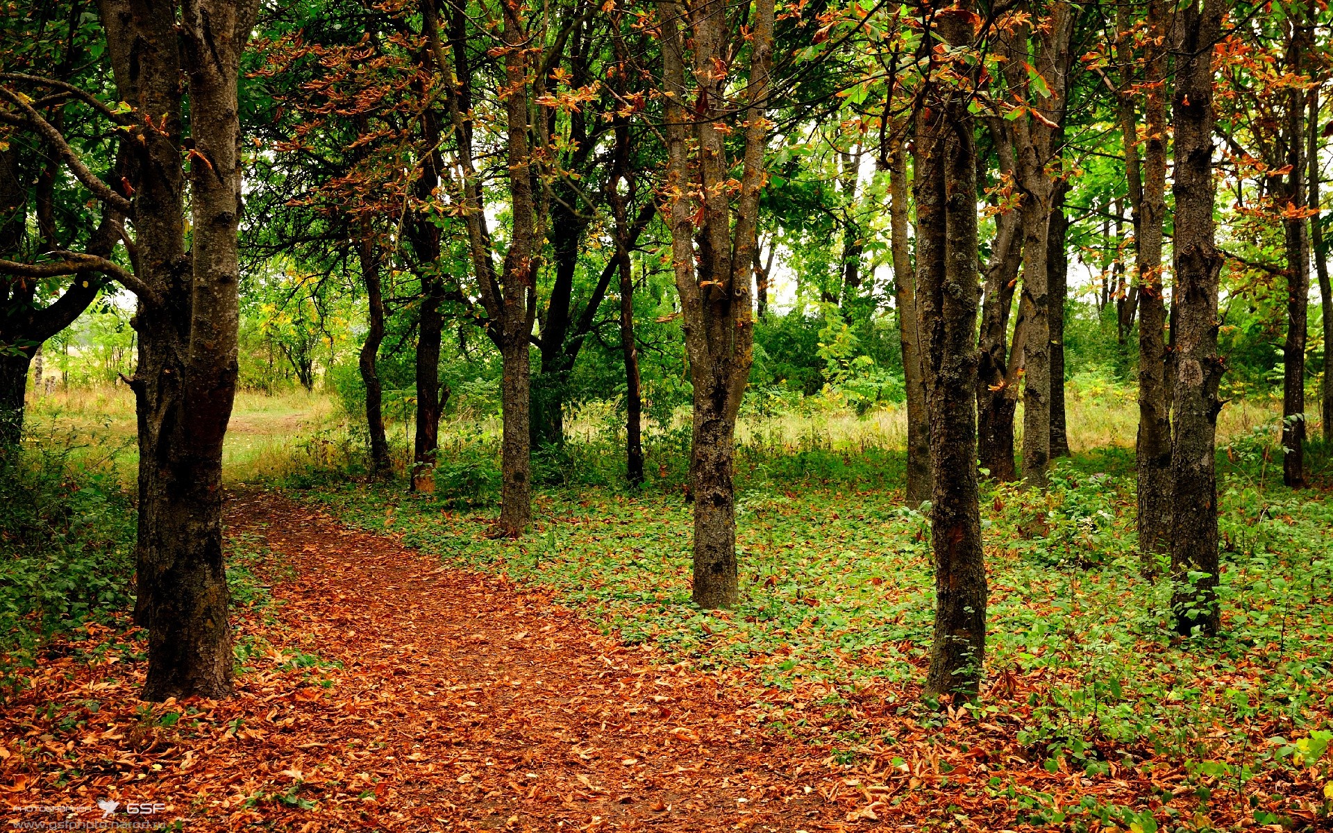 法国马术队在巴黎奥运会三项赛团体决赛中获得银牌,展现出色表现。