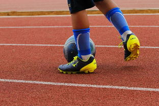 九游官网下载电脑版-中国青少年篮球运动员体能素质发展规律，我国篮球青少年运动发展现状