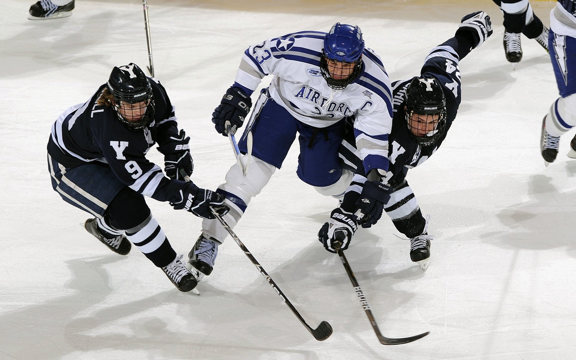 CBA联盟联合高校推动篮球教育普及,全国高校篮球联赛