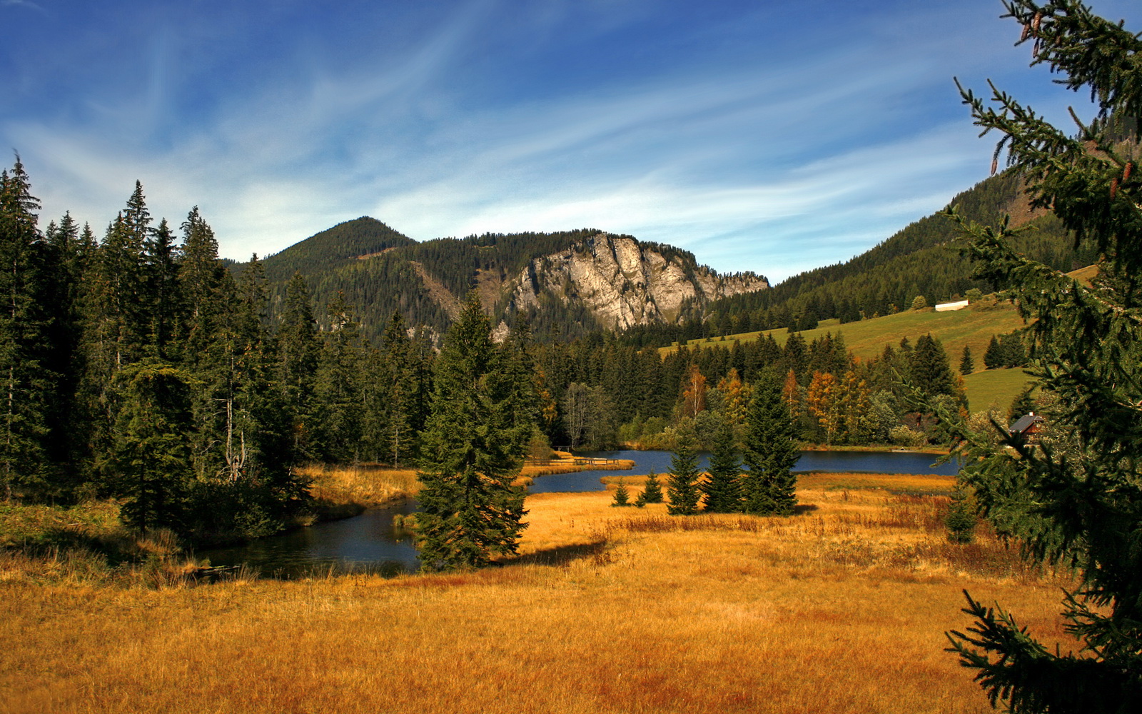 李恩:全黑队中场的“拼搏者”,无论攻防都为全队付出全力