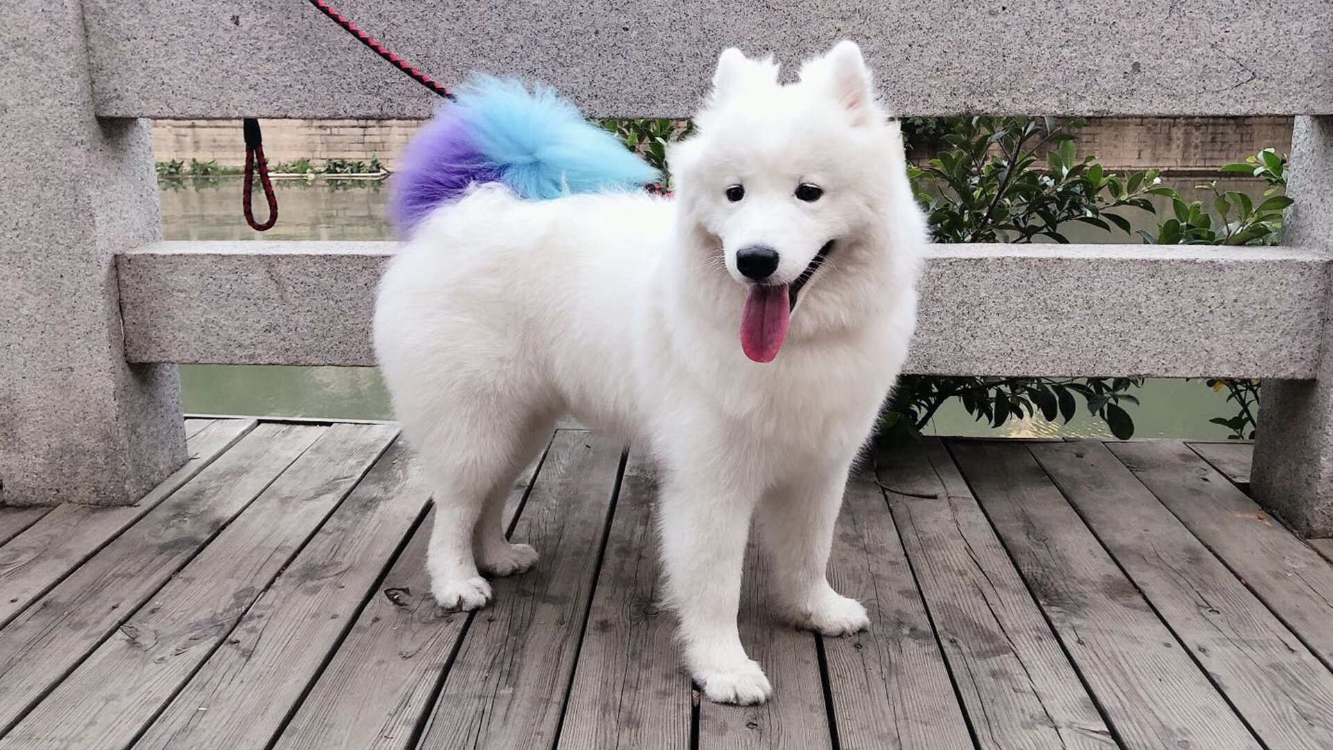 九游APP官网-欧洲杯决战场：战术变化引领新潮流！，欧洲杯决赛赛前分析