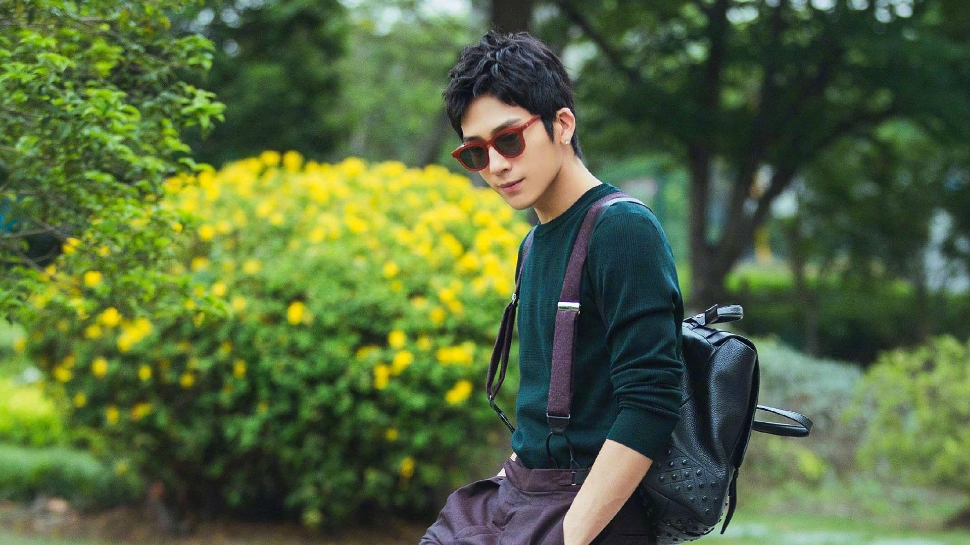 荷兰队在欧洲预赛中表现优异,顺利晋级