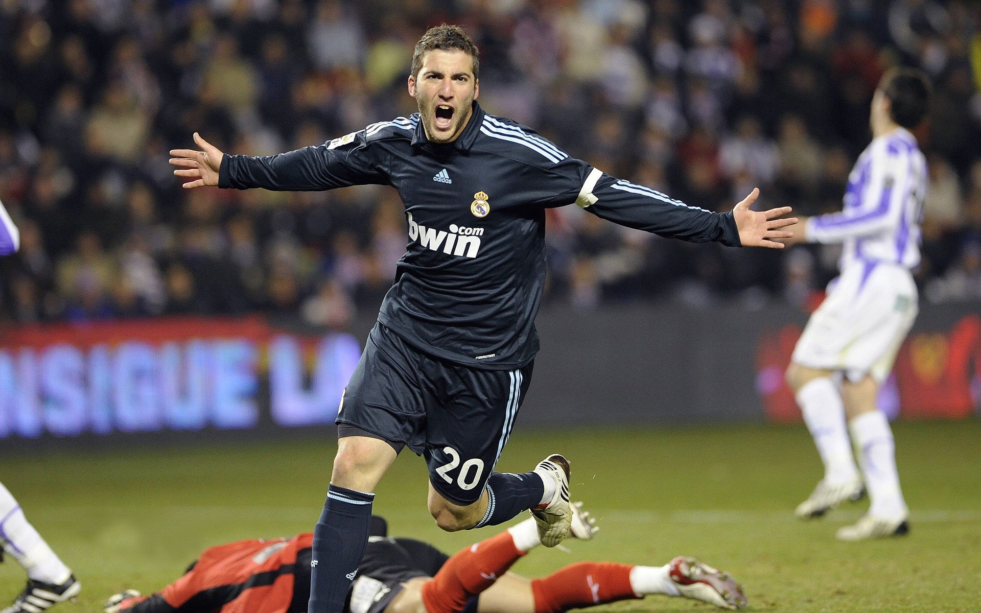 _猛兽运动会：传统民俗与运动的融合_，运动猛兽主题公园